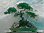 Snow Covered Bonsai