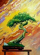 Fiery Sky Bonsai